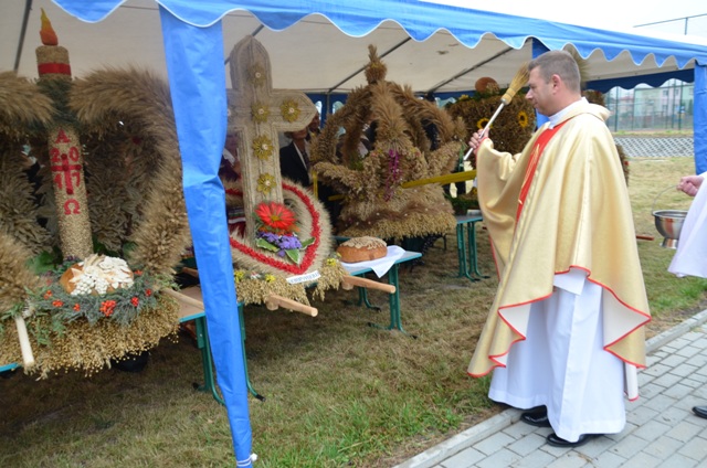 Dożynki Łopiennik 2017 (11)    